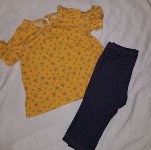 Carter's Baby Girl Fall Set
